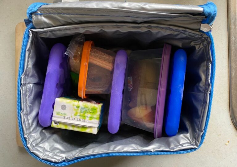 ice-packs-spread-out-in-lunch-box-768x541